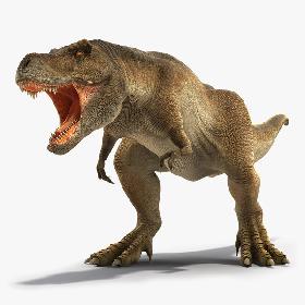 3D model Animated Tyrannosaurus Rex Roaring Rigged